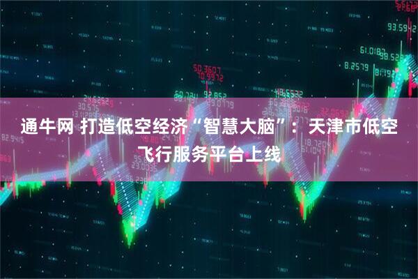 通牛网 打造低空经济“智慧大脑”：天津市低空飞行服务平台上线