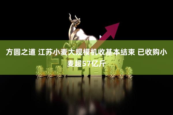 方圆之道 江苏小麦大规模机收基本结束 已收购小麦超57亿斤