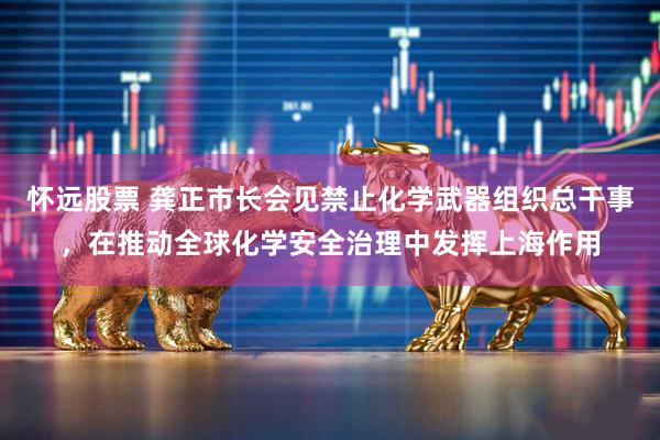怀远股票 龚正市长会见禁止化学武器组织总干事，在推动全球化学安全治理中发挥上海作用
