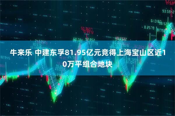 牛来乐 中建东孚81.95亿元竞得上海宝山区近10万平组合地块