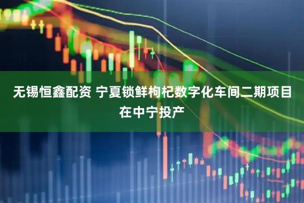 无锡恒鑫配资 宁夏锁鲜枸杞数字化车间二期项目在中宁投产