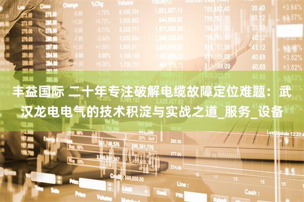 丰益国际 二十年专注破解电缆故障定位难题：武汉龙电电气的技术积淀与实战之道_服务_设备