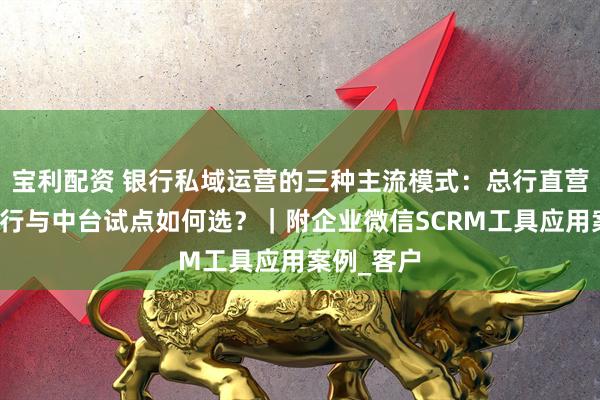 宝利配资 银行私域运营的三种主流模式：总行直营、分行执行与中台试点如何选？｜附企业微信SCRM工具应用案例_客户