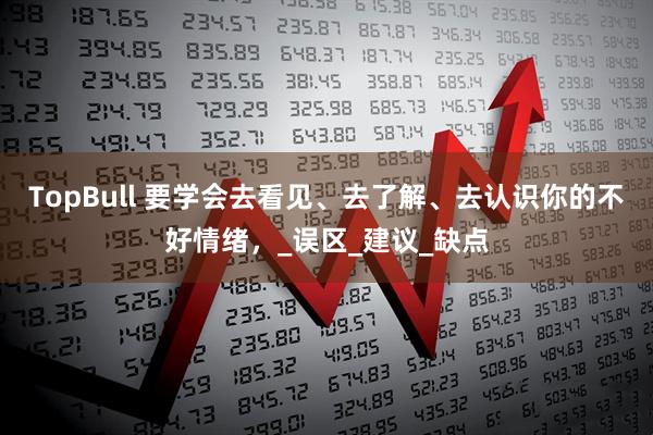 TopBull 要学会去看见、去了解、去认识你的不好情绪，_误区_建议_缺点