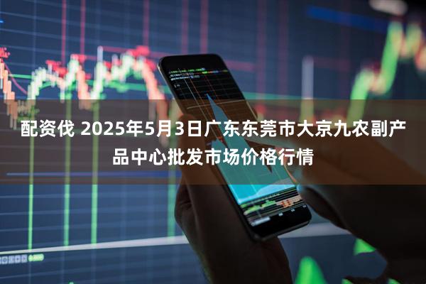 配资伐 2025年5月3日广东东莞市大京九农副产品中心批发市场价格行情