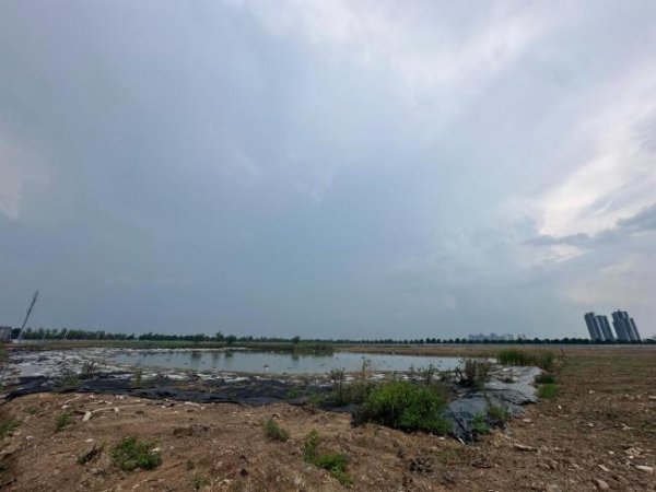 中承配资 东莞17亿元全额付款土地被无偿收回 企业称闻所未闻