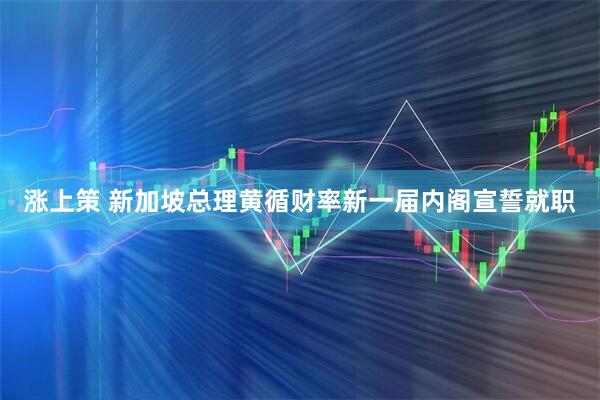 涨上策 新加坡总理黄循财率新一届内阁宣誓就职