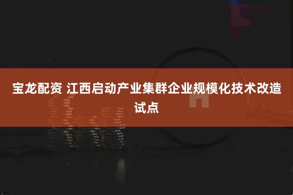 宝龙配资 江西启动产业集群企业规模化技术改造试点
